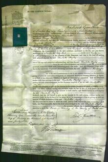 Court of Common Pleas - Charlotte Hughes Lewis-Original Ancestry