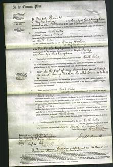 Court of Common Pleas document - Ruth Eeles Mead-Original Ancestry