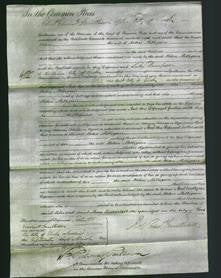 Court of Common Pleas - Helen Milligan-Original Ancestry