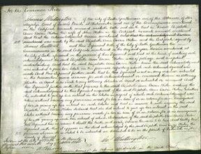 Court of Common Pleas - Elizabeth Ann Cavin Weston-Original Ancestry