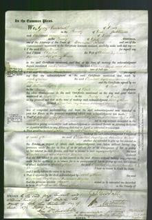 Court of Common Pleas - Elizabeth Taylor and Hannah Rogers-Original Ancestry