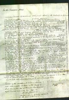 Court of Common Pleas - Mary Whitehead, Elizabeth Stubbs and Sarah Gill-Original Ancestry