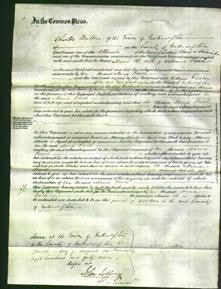 Court of Common Pleas - Maria Peach-Original Ancestry