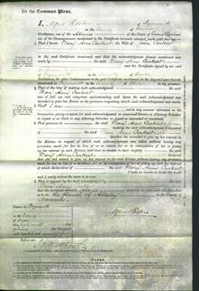 Court of Common Pleas - Mary Ann Carkeet-Original Ancestry