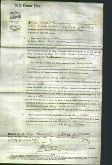 Court of Common Pleas - Mary Salter Jackson-Original Ancestry