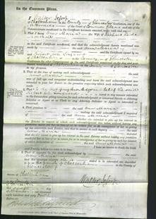 Court of Common Pleas - Ann Maria Marshall-Original Ancestry