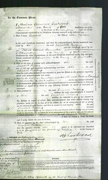 Court of Common Pleas - Elizabeth Fielden-Original Ancestry