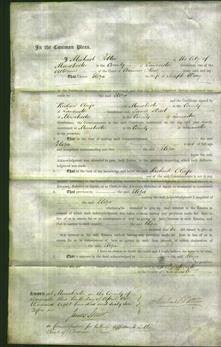 Court of Common Pleas - Eliza Wray-Original Ancestry