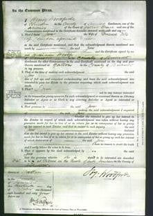 Court of Common Pleas - Jane Wills-Original Ancestry