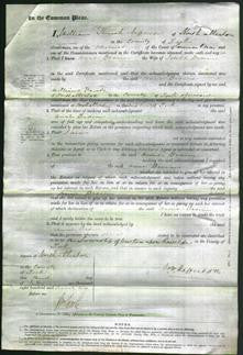 Court of Common Pleas - Ann Brain-Original Ancestry