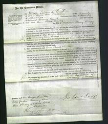 Court of Common Pleas - Ann Read Sunley-Original Ancestry