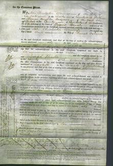 Court of Common Pleas - Ann Osborne-Original Ancestry