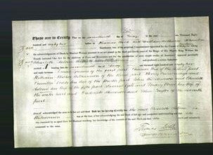 Deed by Married Women - Charlotte Salome Williamson-Original Ancestry