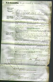 Court of Common Pleas - Honor Paynter-Original Ancestry