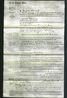 Court of Common Pleas- Ruth Eeles Mead-Original Ancestry