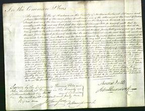 Court of Common Pleas - Jane Ridley-Original Ancestry