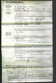 Court of Common Pleas - Marianne Crump-Original Ancestry