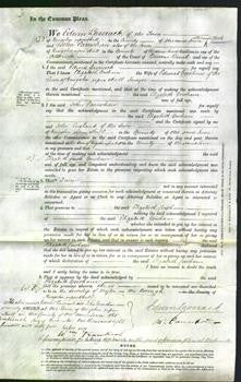 Court of Common Pleas - Elizabeth Cowham-Original Ancestry