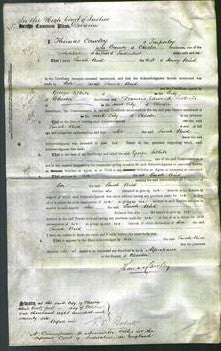 Court of Common Pleas - Sarah Bird-Original Ancestry