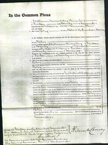 Court of Common Pleas - Betsy Bowson-Original Ancestry