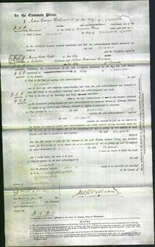 Court of Common Pleas - Maria Grose-Original Ancestry