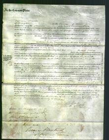 Court of Common Pleas - Mary Ann Milner-Original Ancestry