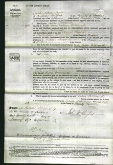 Court of Common Pleas - Susan Goldsmith-Original Ancestry