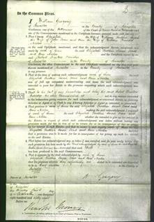 Court of Common Pleas - Elizabeth Rudkin, Sarah Toone and Ann Norton-Original Ancestry