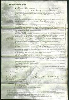 Court of Common Pleas - Eliza Davies-Original Ancestry