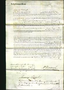Court of Common Pleas - Elizabeth Watts-Original Ancestry