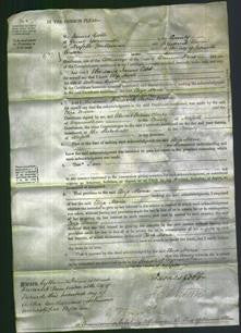 Court of Common Pleas - Eliza Maria Bunn-Original Ancestry