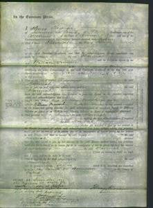 Court of Common Pleas - Hannah Jeeves-Original Ancestry