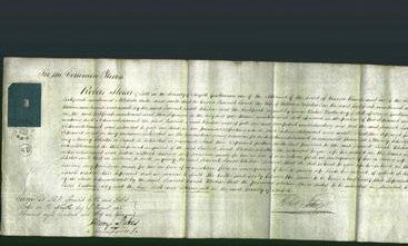 Court of Common Pleas - Harriet Sarah Whitear-Original Ancestry