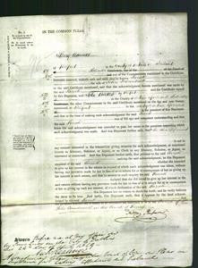 Court of Common Pleas - Sarah Fehrenbach-Original Ancestry