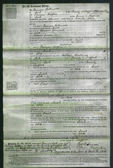 Court of Common Pleas - Sarah Gwynne and Alice Groves-Original Ancestry