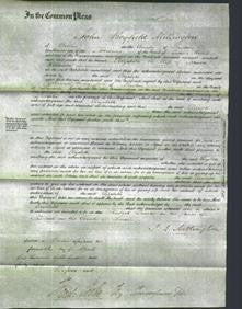 Court of Common Pleas - Elizabeth Robinson-Original Ancestry