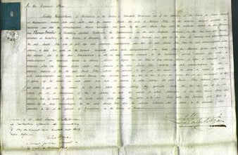 Court of Common Pleas - Louisa Foley-Original Ancestry