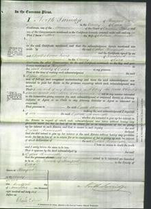 Court of Common Pleas - Esther Horncastle-Original Ancestry