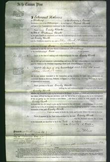 Court of Common Pleas - Emily Buck-Original Ancestry