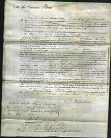 Court of Common Pleas - Maria Muscott-Original Ancestry