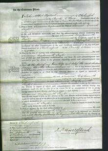 Court of Common Pleas - Susanna Wiglesworth Taylor-Original Ancestry