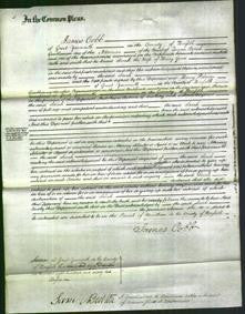 Court of Common Pleas - Sarah Goose-Original Ancestry