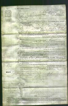 Court of Common Pleas - Lucy Boomer-Original Ancestry