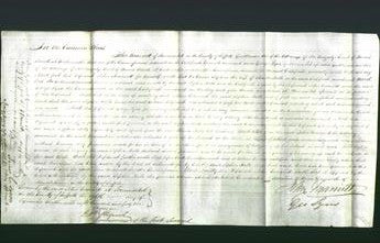 Court of Common Pleas - Sophia Hall-Original Ancestry