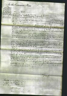 Court of Common Pleas - Rosalind Hammond-Original Ancestry