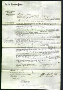 Court of Common Pleas - Mary Annibal-Original Ancestry