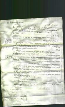 Court of Common Pleas - Sophia Street-Original Ancestry