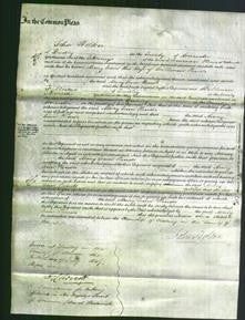 Court of Common Pleas - Mary Ann Hinds-Original Ancestry