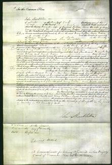 Court of Common Pleas - Mary Pullan, Anne Groves and Sarah Cooper-Original Ancestry