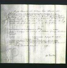 Appointment of Special Commissioners - The Honorable George Alfred Arney, Thomas Cuthwaite, George Wrentmore and William Bracey-Original Ancestry